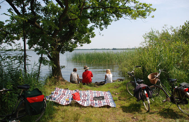 Picknick beim Radfahren - Bild von Eveline de Bruin