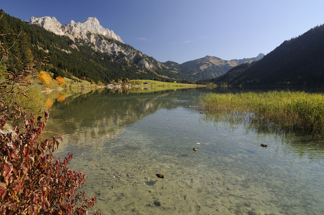 Herbst Tannheimer Tal ©Wolfgang Ehn