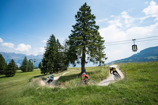 Über den BikerTrail BlueSalamander kurven. ©Bergbahnen Flumserberg AG