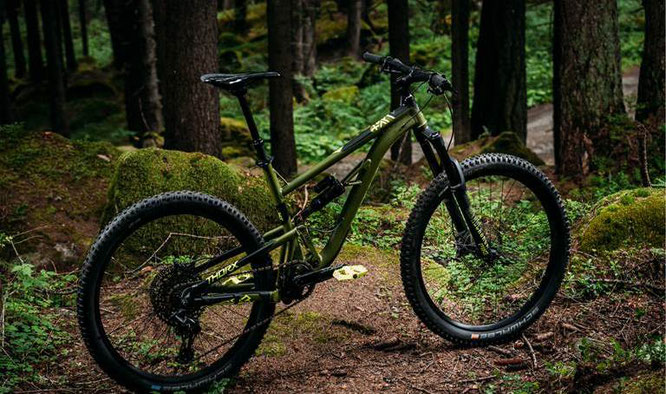 2019 KELLYS THORX 50
