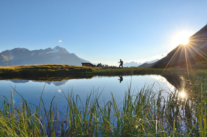 In der Urlaubsregion St. Anton am Arlberg/Österreich erleben Sommergäste ab 3. Juli 2020 wieder alpines Naturkino. Bildnachweis: TVB St. Anton am Arlberg/Fotograf Josef Mallaun