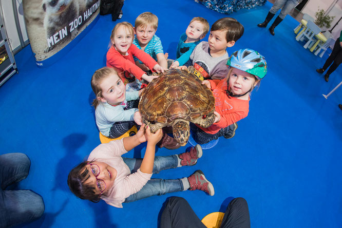 Kinder haben die Möglichkeit, Schildkrötenpanzer, Schlangenhäute und Echseneier tastend zu erkunden und hautnah zu erleben ©Messe Essen