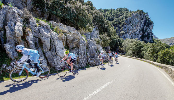 Mit dem Rennrad auf Mallorca ©Bild: Frank Nürnberger auf Pixabay