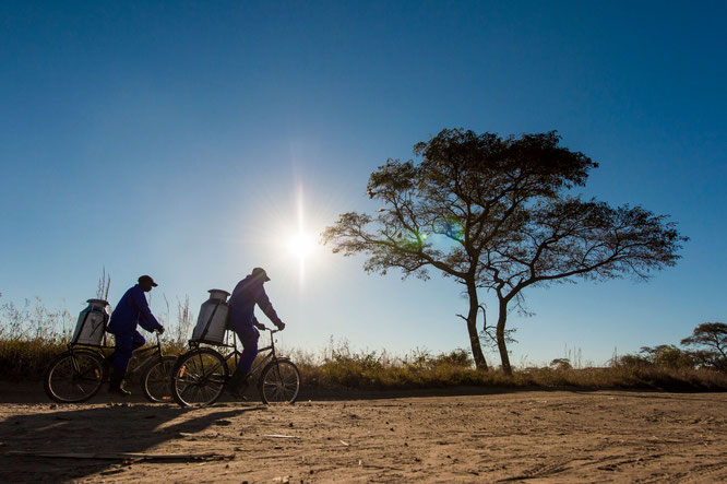 @World Bicycle Relief/ Milchbauern in Sambia können doppelt so viel Milch verkaufen, wenn sie für den weiten Weg zur Sammelstelle Fahrräder einsetzen anstatt zu Fuß zu laufen.