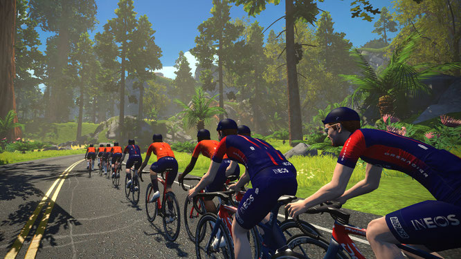 NIMM AM INEOS GRENADIERS TRAININGSLAGER TEIL: EXKLUSIV AUF ZWIFT ©Zwift