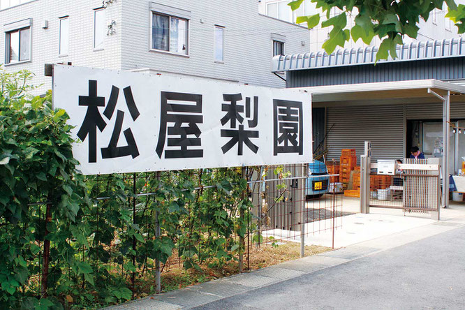 【松屋梨園】即売所は収穫時期（7月末～10月初め）のみの営業。川崎市多摩区生田3-4-10。「松屋梨園」の看板が目印。