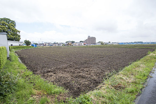 荒起こしを終えた田んぼは、田植えに向けて一段階進んだことを教えてくれる。蔵が位置する海老名市下今泉付近は、「農」と「住」がとても近い関係にある。