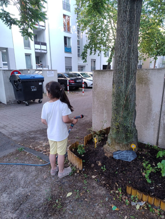 Mädchen giesst GAG Beet in der Steubenstraße
