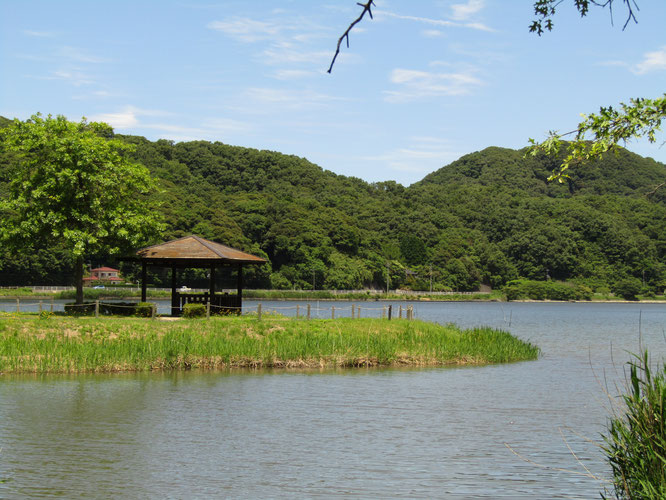 湖山池公園にて（2024/06/18）