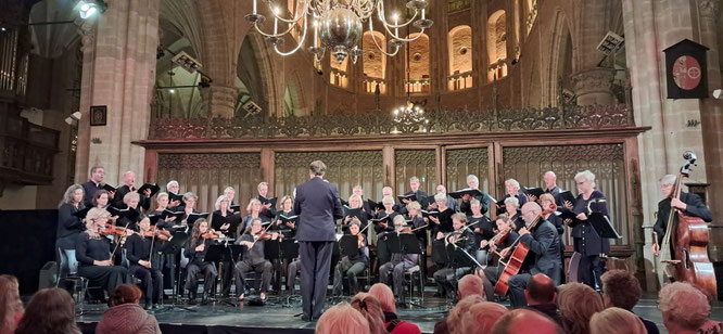 Sine Nomine in de Grote kerk Alkmaar