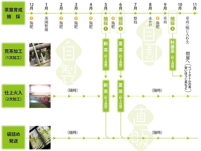 農作業から製茶まで堀川園のお茶づくりの説明