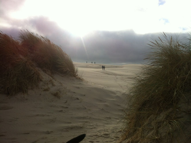 Sandverwehungen hätten Skagen im 19. Jahrhundert beinahe ausgelöscht.