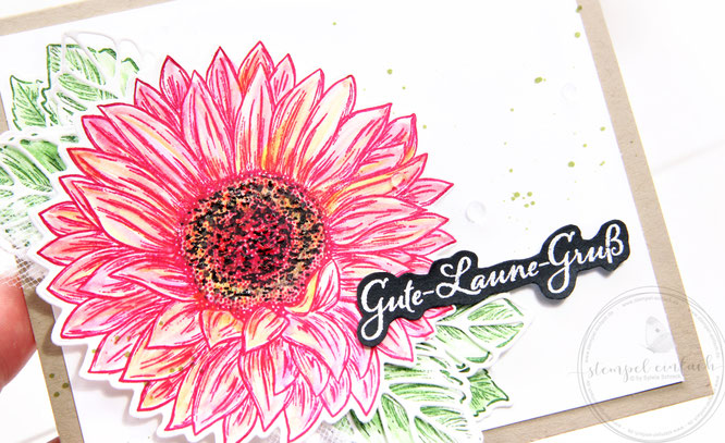 Karte-Gute-Laune-Gruss-Stampin up