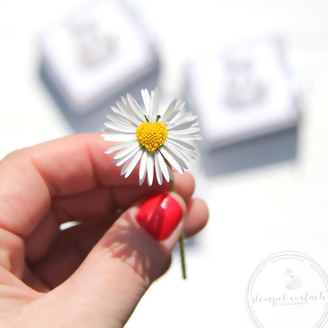 Verpackung Osterhase -Stampin up