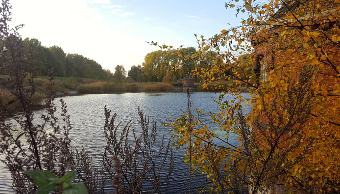 Elbinsel Kaltehofe; Kaltehofe; Wasserfilterbecken; Schieberhäuschen; Herbst in Hamburg; Hamburger Herbst; live4happiness2day; bloggingforinspiration