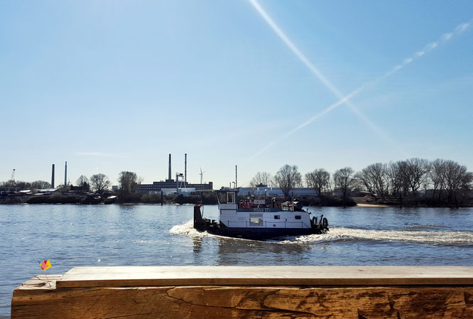 Miss Ed; Norderelbe; Entenwerder; Hamburg; live4happiness2day; bloggingforinspiration; LocalLoves