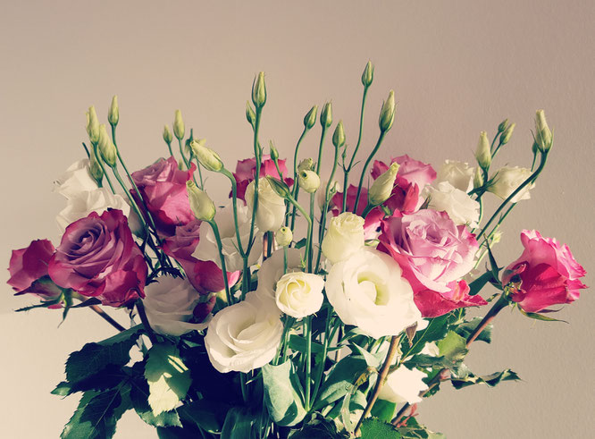 Eustoma; Rosen; Blumenmachenglücklich; Frühjahrsputz; live4happiness2day; bloggingforinspiration; RandomReflections