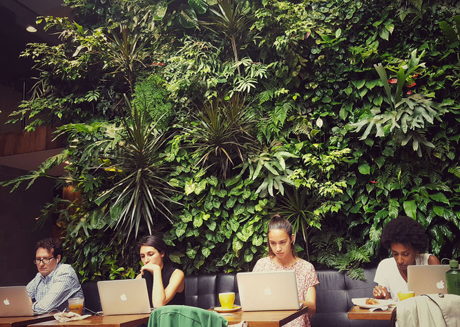 Devocion; Brooklyn; Williamsburg; Coffee Shop; Cafe; Arbeiten im Cafe; live4happiness2day; bloggingforinspiration