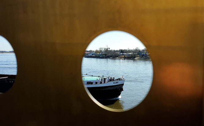 Entenwerder; Entenwerder1; Rothenburgsort; Norderelbe; Hamburg; LocalLoves; live4happiness2day; bloggingforinspiration