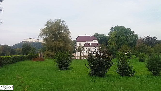 Salzburg. Nach ihren Treueschwüren ritten die Erzbischöfe in einer feierlichen Prozession vom Schloss Freisaal zum Domkapitel