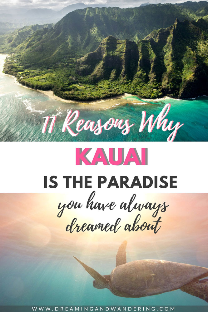 11 Reasons Why Kauai is The Paradise You have Always Dreamed About To Visit