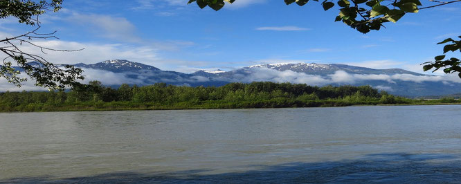 Chilkat River 
