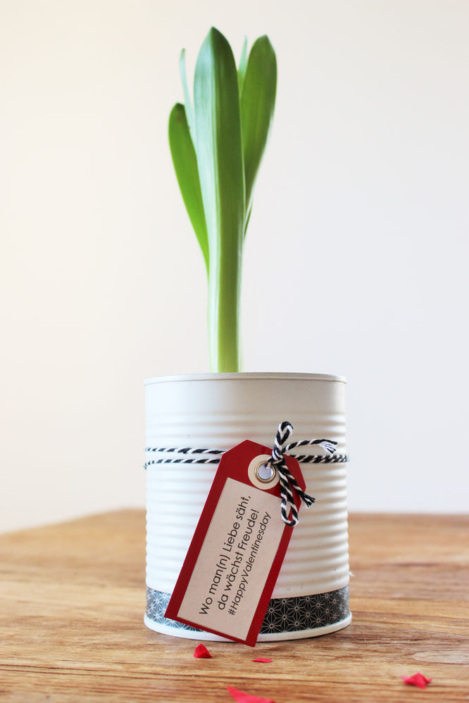 Bild: last-minute DIY Geschenkideen, Geschenke zum Valentinstag oder einfach mal so, Blumen Upcycling, gefunden auf Partystories.de