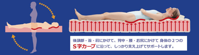 身体の2つのS字カーブに沿って、しっかり支え上げてサポートします。