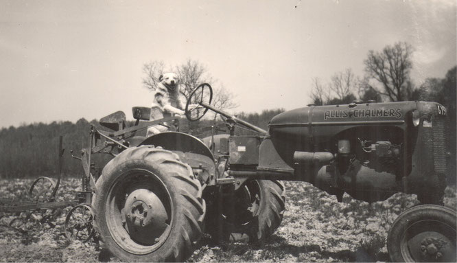 Glénat Cantal tracteur Allis-chalmers-C agriculture plan marshall
