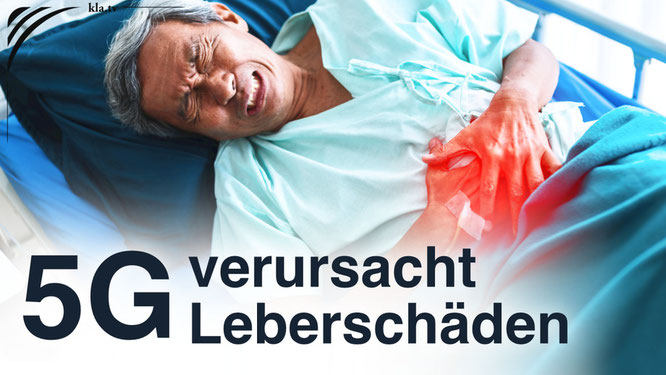 Bildquelle: Kla.tv Vorschaubild | Link führt zu Kla.tv