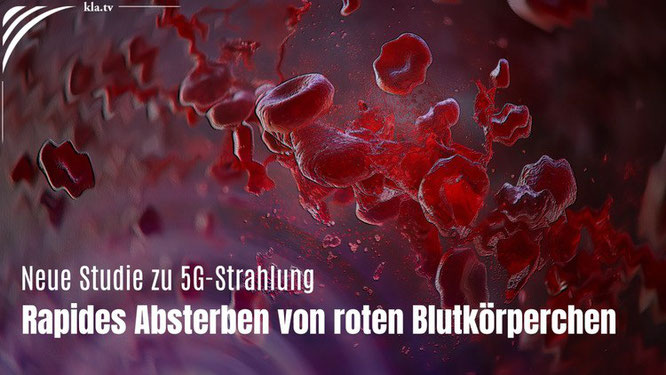 Bildquelle: Kla.tv | Link führt zu Kla.tv