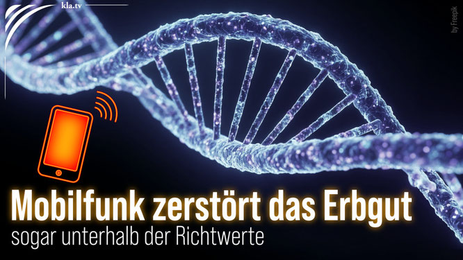 Bildquelle: Kla.tv Vorschaubild | Link führt zu Kla.tv