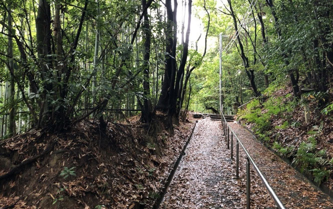 おちょやんロケ地