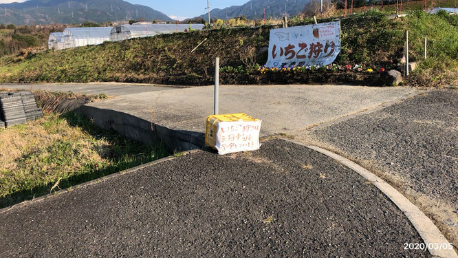東農園 いちご狩り