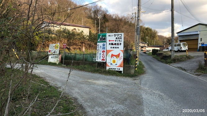 いちご狩り