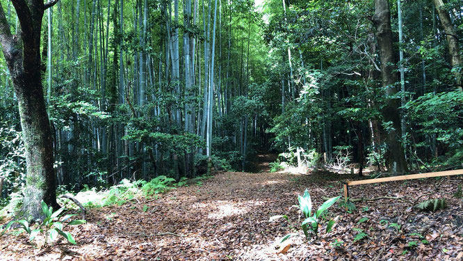 富田林 おちょやん