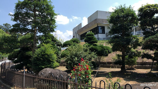 富田林 こども園