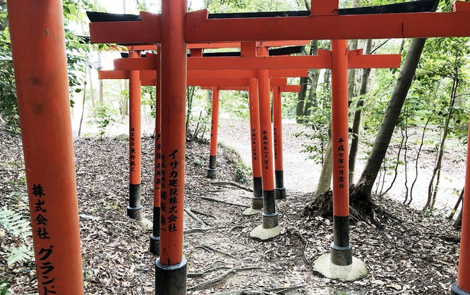 おちょやん