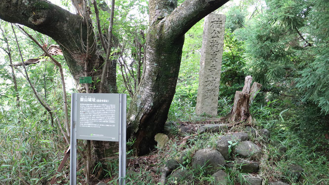 嶽山城