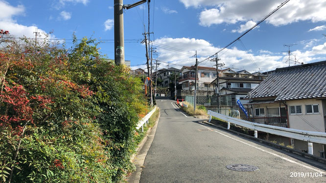 杉咲花