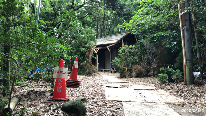 富田林 おちょやん