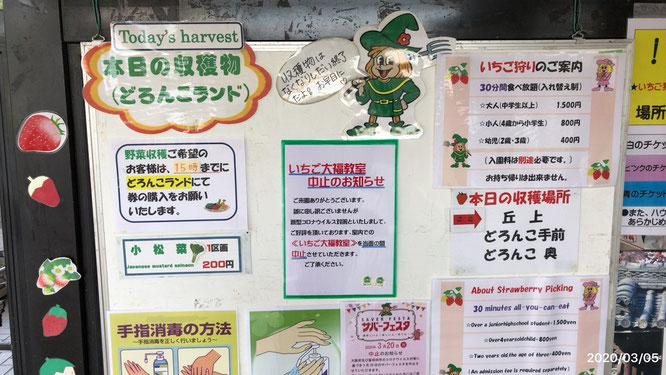いちご狩り