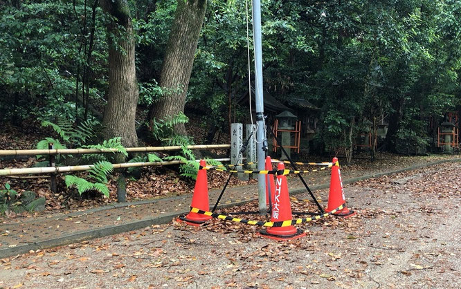 富田林 おちょやん ロケ地