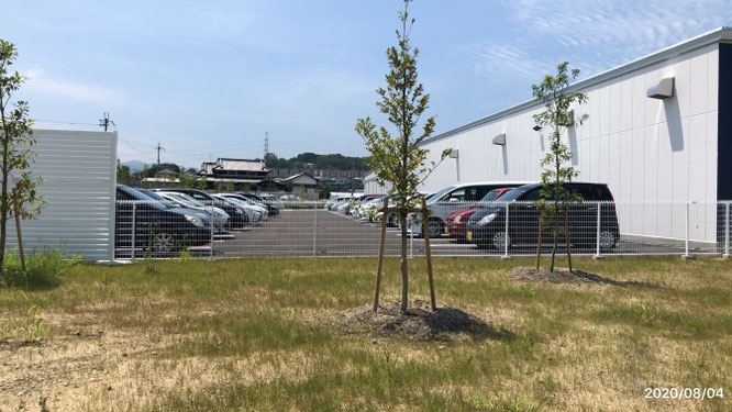 富田林 トアイアル