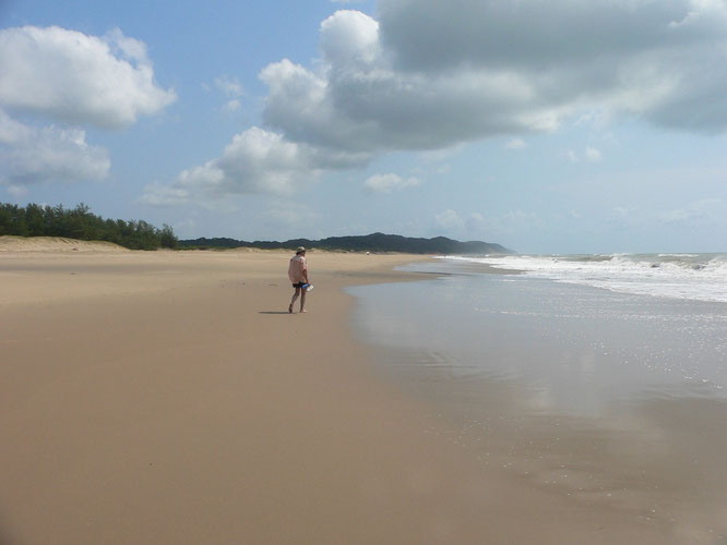 Guenther allein am Strand