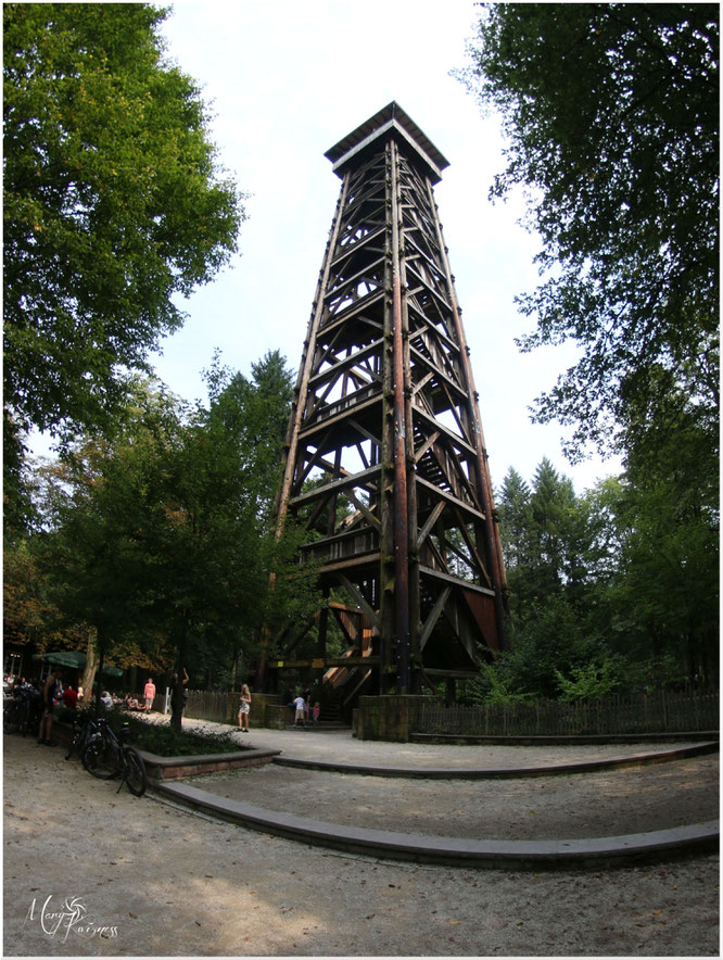 Goetheturm Goethe Tower Frankfurt by Mary Kwizness 