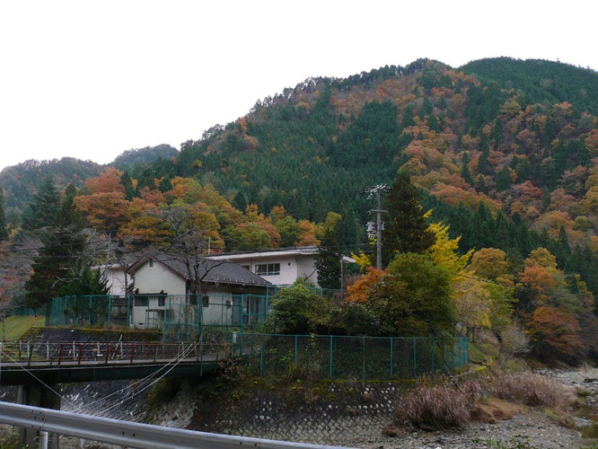 The Hanzaki Research Institute of Japan located right next to Ichikawa River