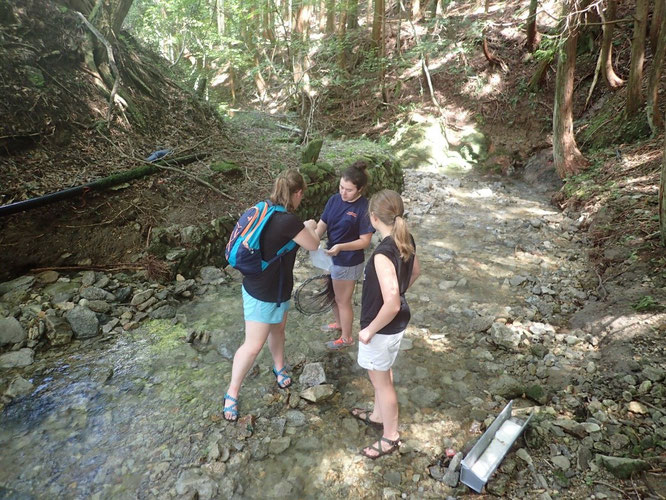 Three Bucknell Students taking water samples for eDNA analysis.