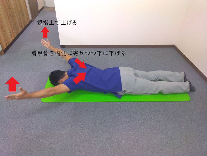 猫背矯正 YTWエクササイズ