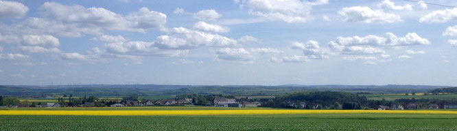 Panorama Binningen